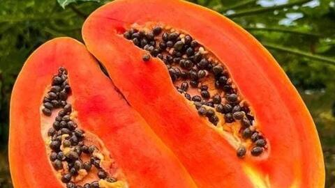 Ổn định huyết áp bằng cách ăn đu đủ đúng cách