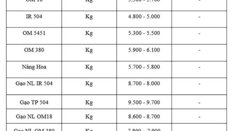 Giá lúa gạo hôm nay ngày 28/10: Gạo xuất khẩu tăng giảm trái chiều