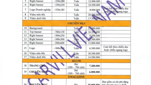 Báo giá website năm 2024