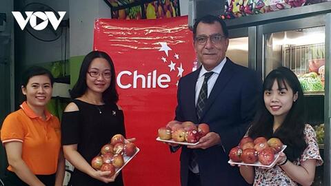 Nắm rõ thị hiếu, thói quen tiêu dùng để chinh phục thị trường Mỹ La tinh