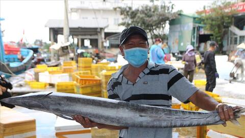 Ngư dân Quảng Ngãi ăn Tết trên biển