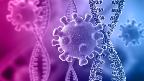 Trung Quốc phát hiện dòng biến thể Omircon mới