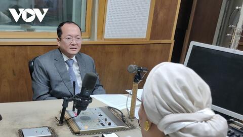 Việt Nam và Ai Cập thúc đẩy hợp tác kinh tế, thương mại hậu Covid-19