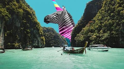 Việt Nam có thể là “Kỳ lân” khởi nghiệp tiếp trong lĩnh vực công nghệ ở châu Á