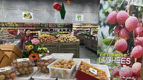 Khuyến cáo doanh nghiệp xuất khẩu nông, thủy sản vào Australia