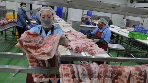 Nắm sát diễn biến thị trường, đảm bảo nguồn cung thịt lợn