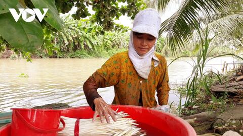 Nhiều mô hình kinh tế hiệu quả của phụ nữ Khmer Sóc Trăng