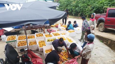 Khởi nghiệp không còn xa lạ với đồng bào DTTS dọc dãy Trường Sơn