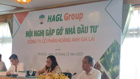 Hoàng Anh Gia Lai muốn bán hơn 13 triệu cổ phiếu HNG để trả nợ