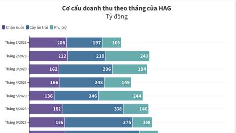 HAGL thu hơn nghìn tỷ sau 2 tháng, dự báo tăng mạnh doanh thu về cuối năm