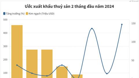 Xuất khẩu thuỷ sản đạt 1,3 tỷ USD, tăng 23% nhưng vẫn còn mối lo thẻ vàng