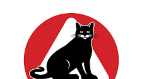 Từ câu chuyện xuất khẩu nước tương Con Mèo Đen, nhìn về ngành gia vị Việt và mục tiêu 2 tỷ USD