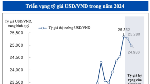 Shinhan Bank: 'Tỷ giá sẽ đạt đỉnh vào quý III rồi hạ nhiệt'