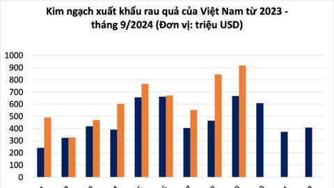 Kim ngạch xuất khẩu rau quả tháng 11, 12 có thể giảm mạnh