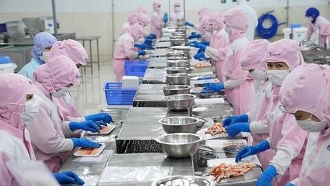 Cơ hội nào cho xuất khẩu thuỷ sản Việt Nam khi ông Trump trở lại Nhà Trắng?