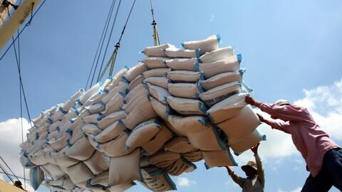 Xuất khẩu gạo năm 2024 có thể đạt 9 triệu tấn