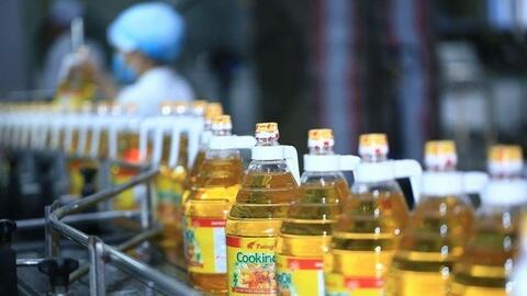 KIDO xoay xở vực dậy lợi nhuận