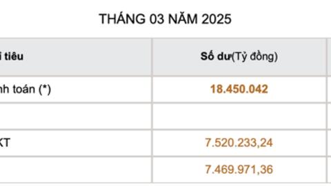 Tiền gửi dân cư đạt mức kỷ lục, tiền gửi doanh nghiệp quay đầu tăng