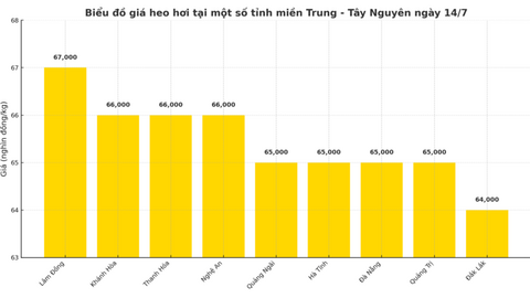 Giá heo hơi hôm nay 12/7/2025: Miền Bắc điều chỉnh giảm, miền Nam giữ đỉnh giá