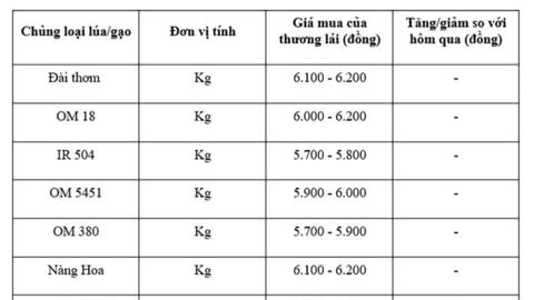 Giá lúa gạo hôm nay ngày 25/7: Gạo xuất khẩu biến động, lúa vững giá
