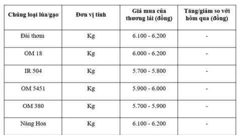 Giá lúa gạo hôm nay ngày 26/7: Gạo nguyên liệu xuất khẩu tăng nhẹ