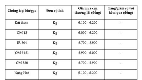 Giá lúa gạo hôm nay ngày 6/8/2025: Thị trường lặng sóng