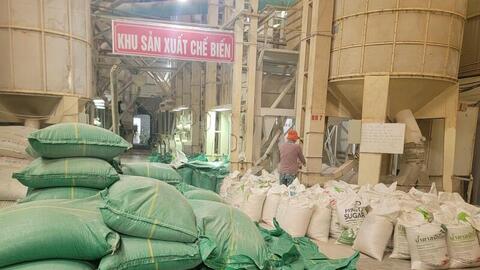 Cần Thơ: Xuất khẩu gạo tăng tốc hướng đến thị trường châu Âu và Nhật Bản