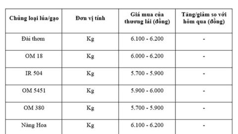 Giá lúa gạo hôm nay ngày 10/8 và tuần qua gạo xuất khẩu tăng mạnh