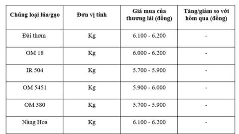 Giá lúa gạo hôm nay ngày 13/8: Gạo nguyên liệu đảo chiều giảm