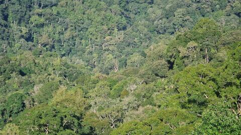 Chuỗi giá trị nông sản–chìa khóa nâng sinh kế đồng bào dân tộc Gia Lai