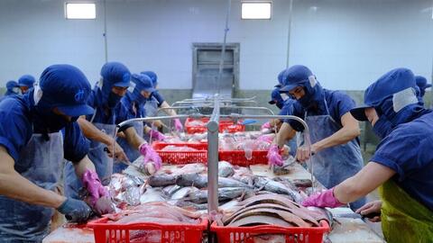 CPTPP giúp hàng Việt 'ghi dấu ấn' mạnh tại thị trường Mexico