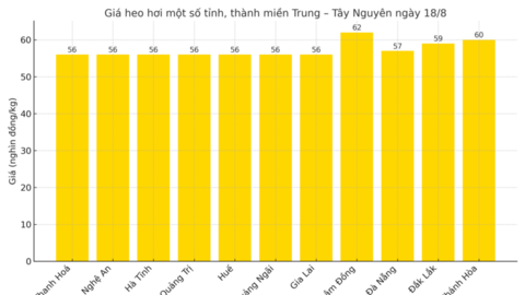 Giá heo hơi hôm nay 18/8/2025: Tiếp đà giảm