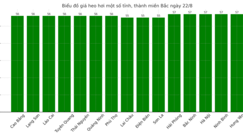 Giá heo hơi hôm nay 22/8/2025: Tiếp đà giảm