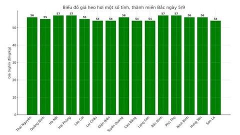 Giá heo hơi hôm nay 5/9/2025: Vọt tăng trên cả 3 miền