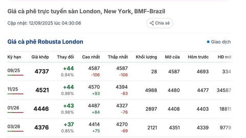 Giá cà phê hôm nay 12/9/2025: Trong nước bật tăng