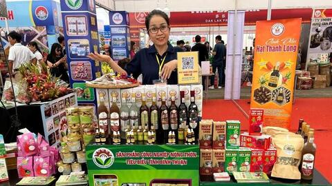 Thanh long Lâm Đồng vươn lên thành ngôi sao xuất khẩu - Bài 1: Trái ngọt vùng nắng gió