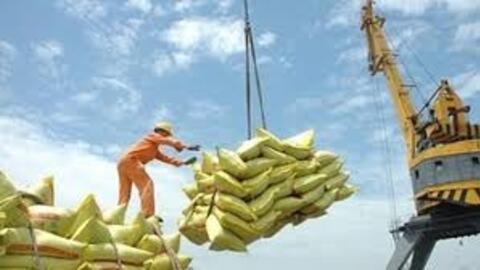 Bộ Công Thương lấy ý kiến dự thảo nghị định thay thế các nghị định về xuất khẩu gạo