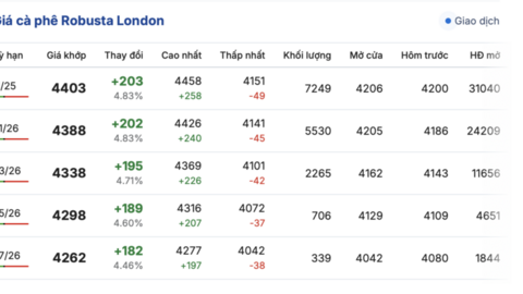 Giá cà phê hôm nay 2/10/2025: Thị trường yên ắng