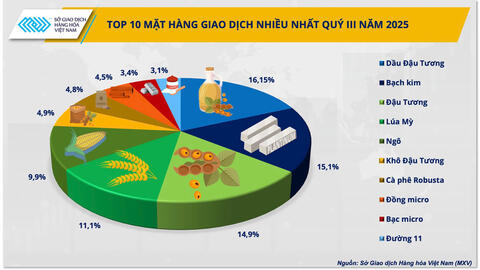 Thị phần môi giới hàng hóa: Ổn định ở top, sôi động đường đua phía sau