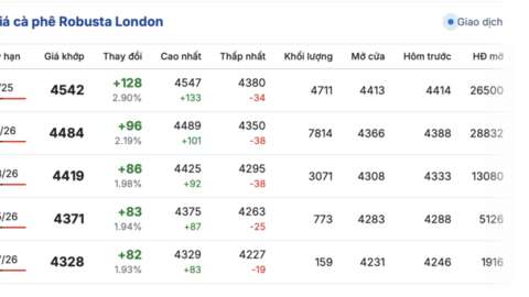 Giá cà phê hôm nay 9/10/2025: Tiếp tục đà giảm