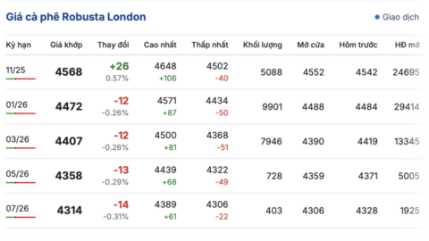 Giá cà phê hôm nay 10/10/2025: Tăng trở lại 1.000 đồng/kg