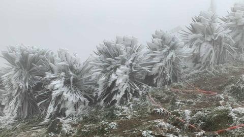 Không khí lạnh kết hợp nhiễu động gió Đông, cảnh báo mưa lớn diện rộng