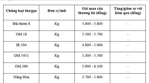 Giá lúa gạo hôm nay ngày 3/11: Gạo xuất khẩu giảm, lúa chững giá