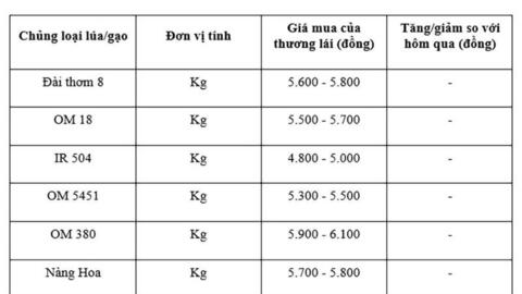 Giá lúa gạo hôm nay ngày 4/11: Gạo xuất khẩu biến động nhẹ