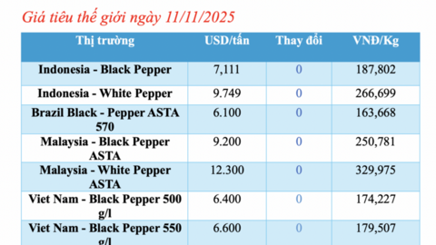 Giá tiêu hôm nay 11/11/2025: Neo ở mức cao