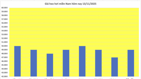 Giá heo hơi hôm nay 13/11/2025: Giảm rải rác ở miền Trung và miền Nam