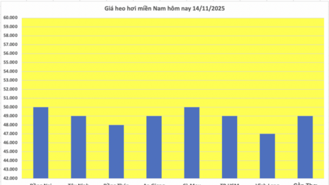 Giá heo hơi hôm nay 14/11/2025: Chững lại trên cả nước