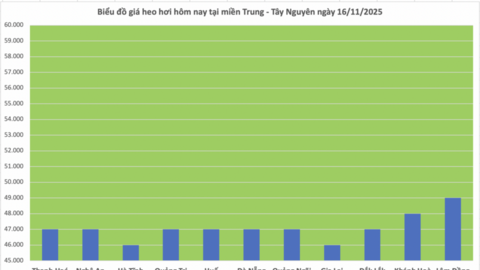 Giá heo hơi hôm nay 16/11/2025: Tạm chững phiên cuối tuần