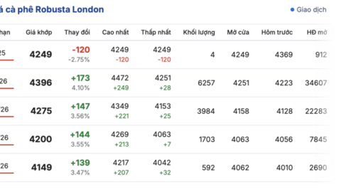 Giá cà phê hôm nay 18/11/2025: Giảm nhẹ ở Lâm Đồng