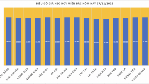 Giá heo hơi hôm nay 27/11/2025: Miền Trung tăng 1.000 đồng/kg